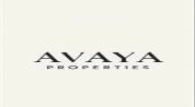 Broker: Avaya Properties L.l.c