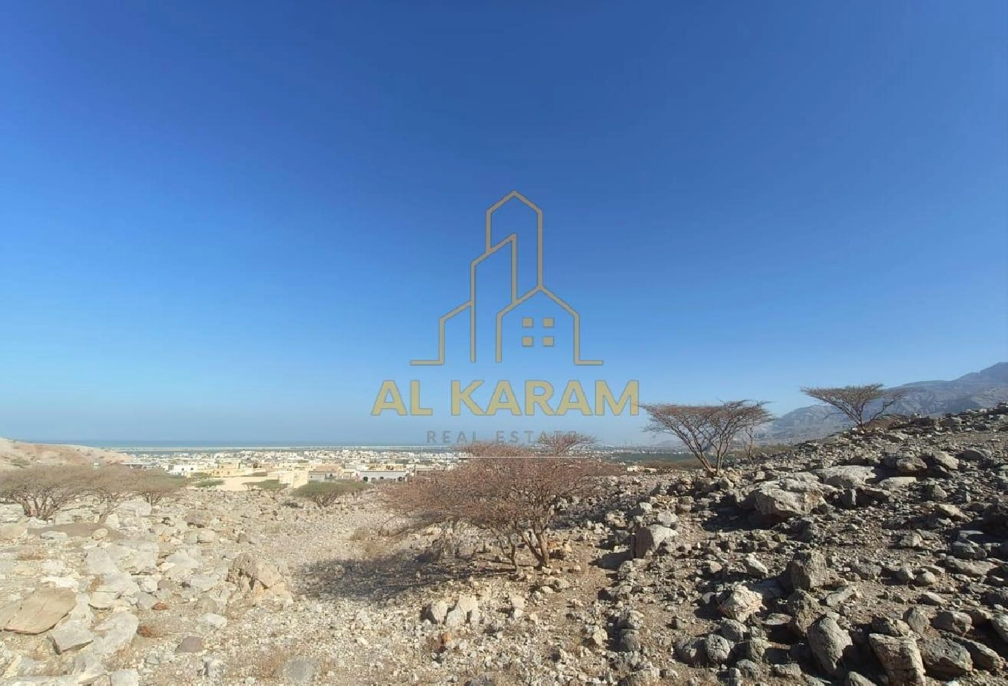 Amazing Mountain View