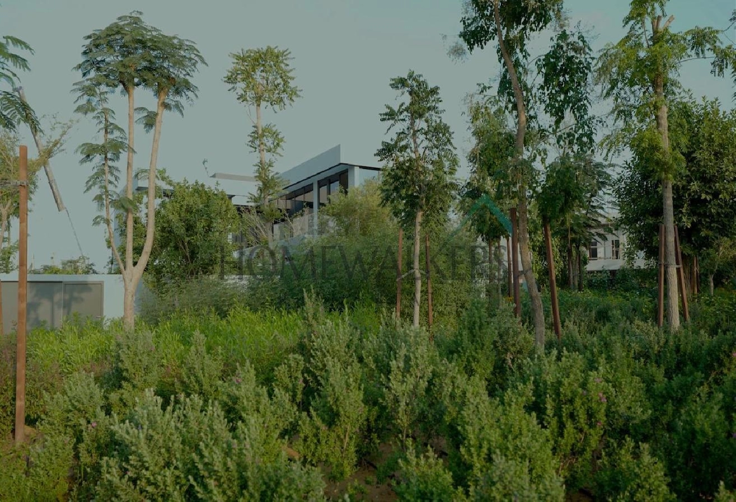 ???? ?????? 5 ??? ???????? ??? ???????? Pictures