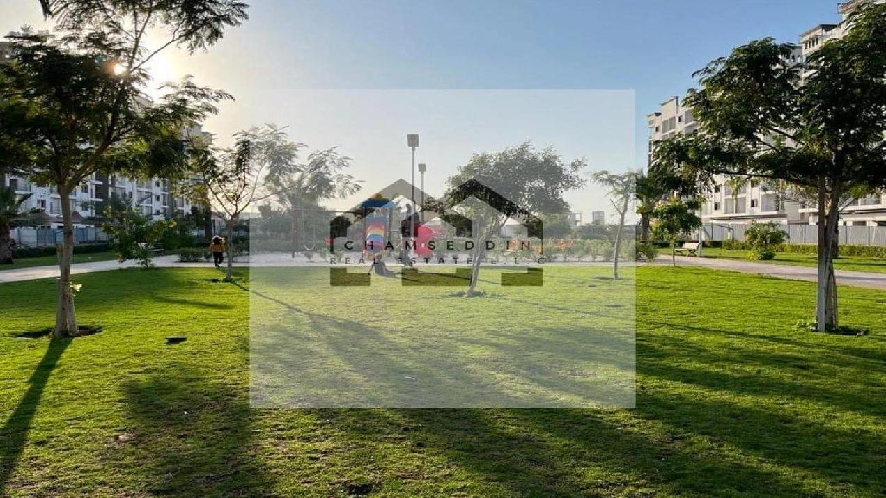 The best investment offer for the studio