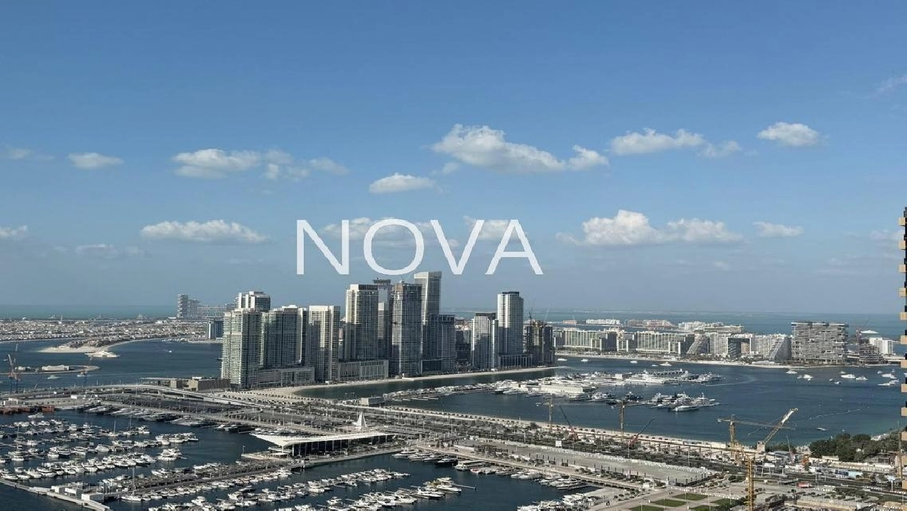 Bills Included! Sky High 1 BR  in Botanica Tower Image# 1