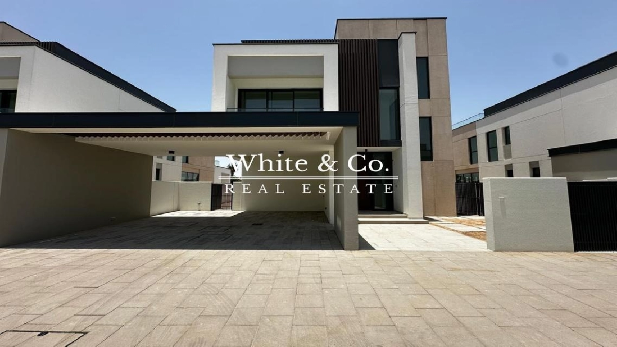 Single Row | Exclusive | Stand - Alone Image# 1