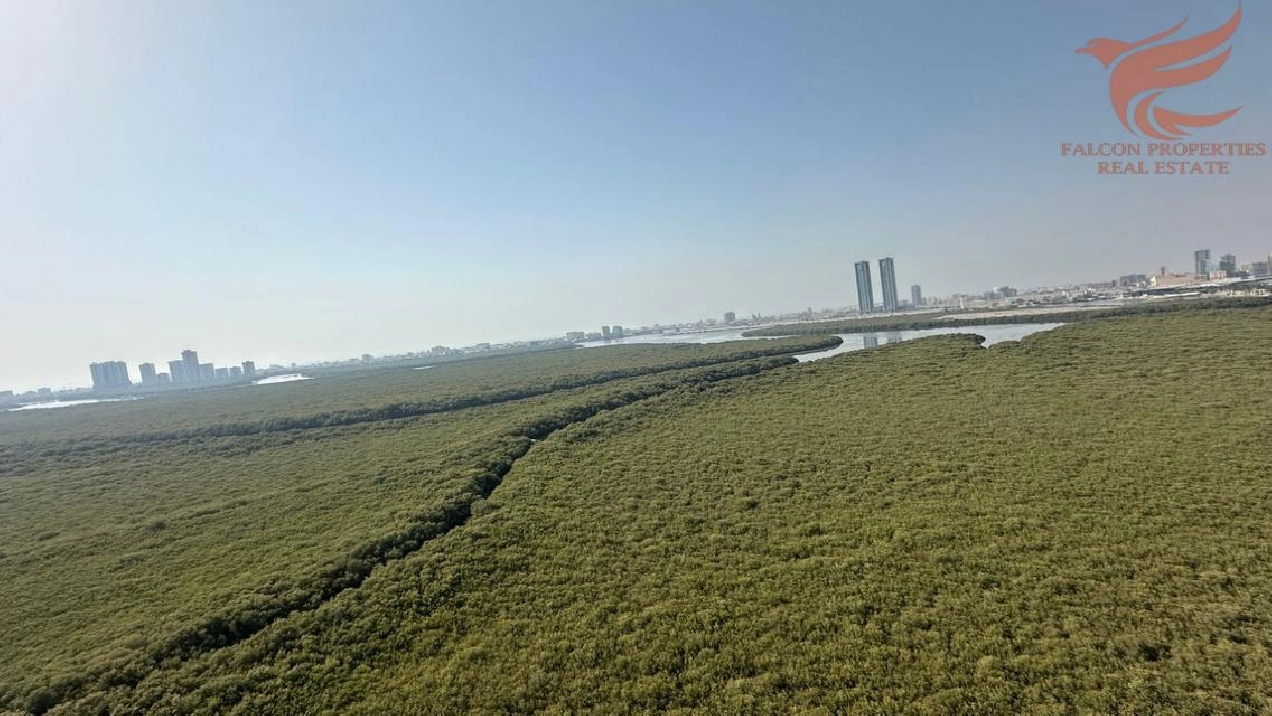 Spacious 3 BR Apartment in Al Nakheel for Rent