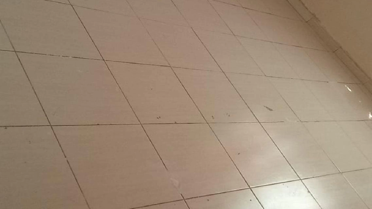 Affordable 1 BR Apartment in Al Nuaimiya Pictures